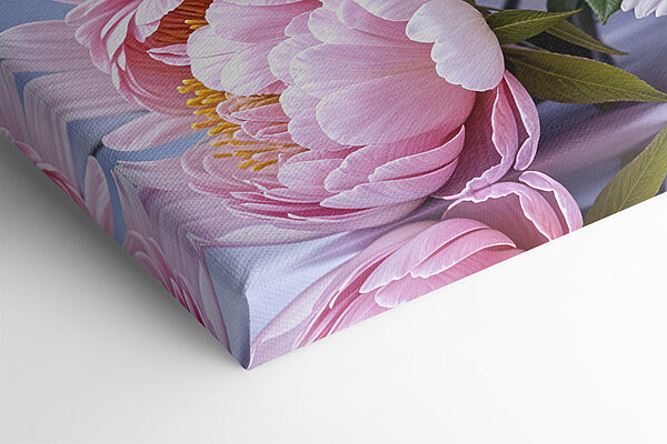 Group of pink and white flowers Group of pink and white flowers