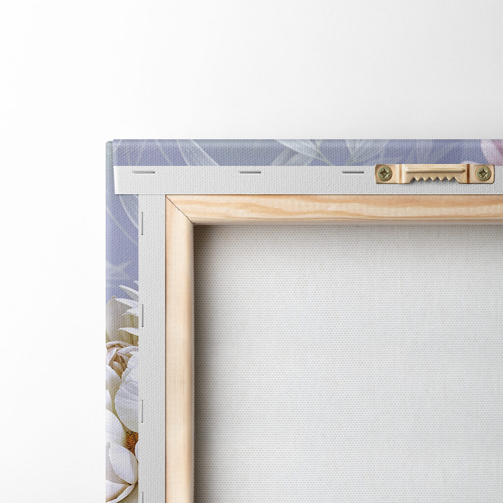 Group of pink and white flowers Group of pink and white flowers