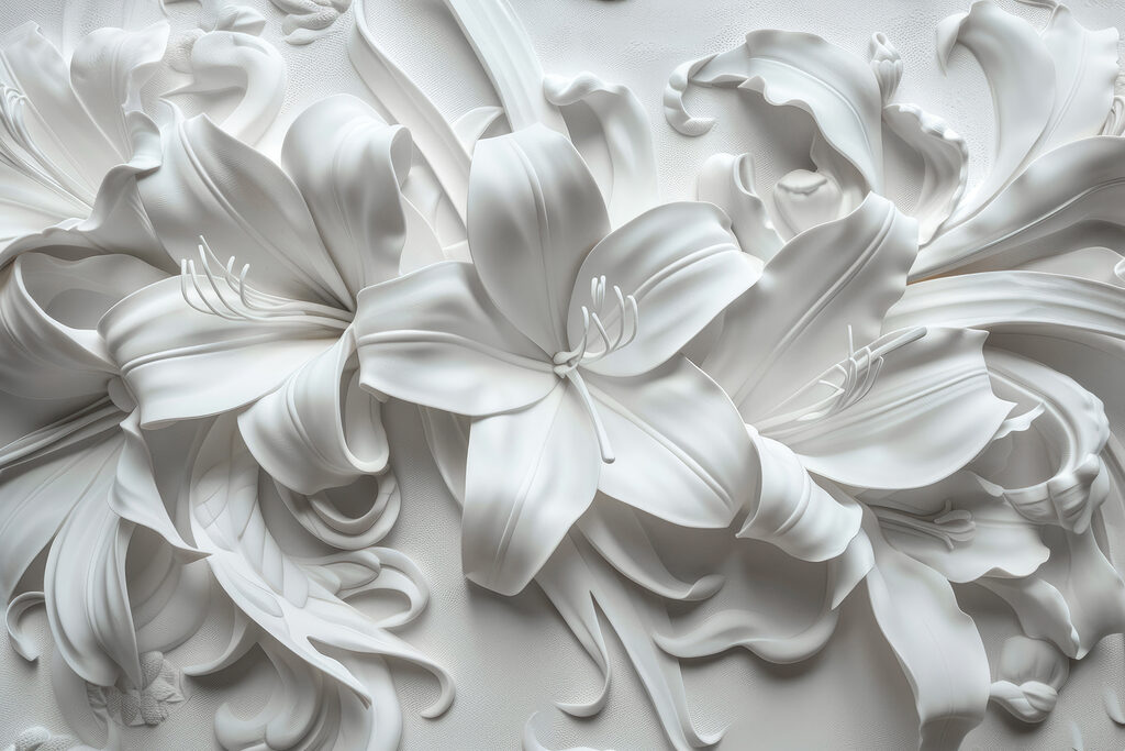 White flower on a white surface White flower on a white surface