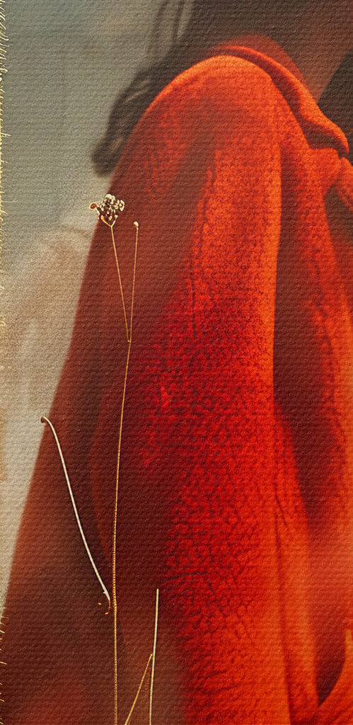Woman in a red coat and a large flower Woman in a red coat and a large flower