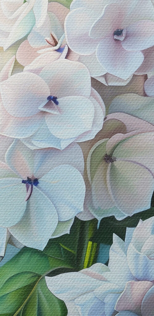 Close up of a flower