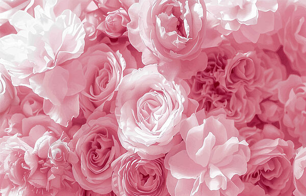 Group of pink flowers