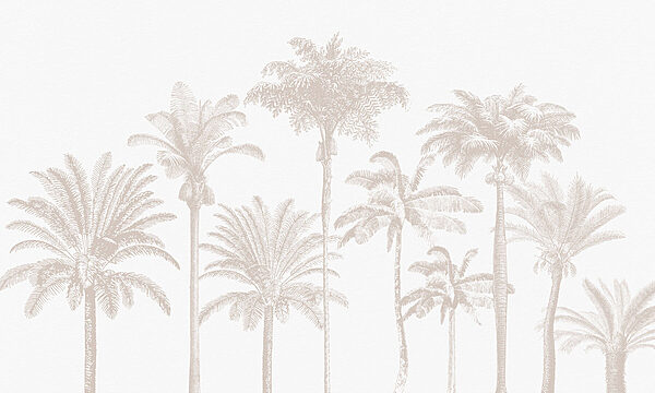 Grupa palm Grupa palm