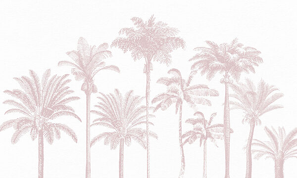 Grupa palm Grupa palm