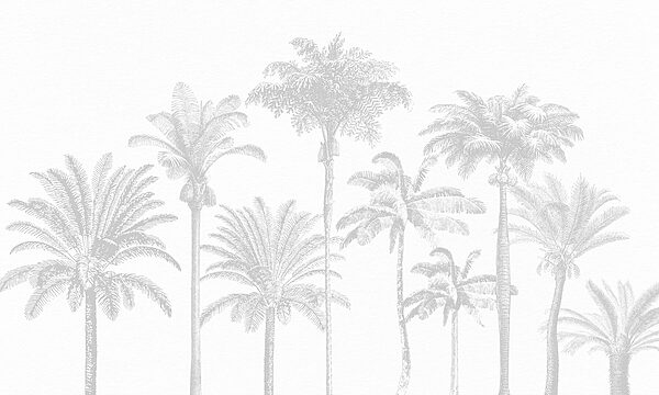 Grupa palm Grupa palm