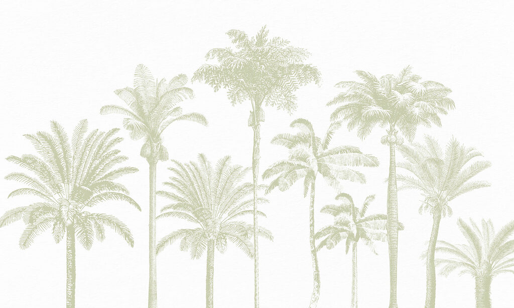 Grupa palm Grupa palm