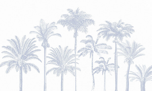Grupa palm Grupa palm