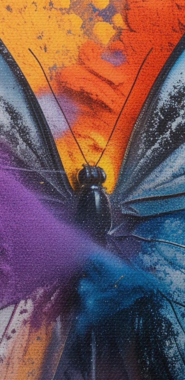 Motyl z kolorowym proszkiem Motyl z kolorowym proszkiem