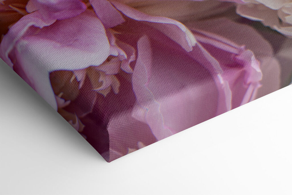 Delicate blooms in soft pastel shades Delicate blooms in soft pastel shades