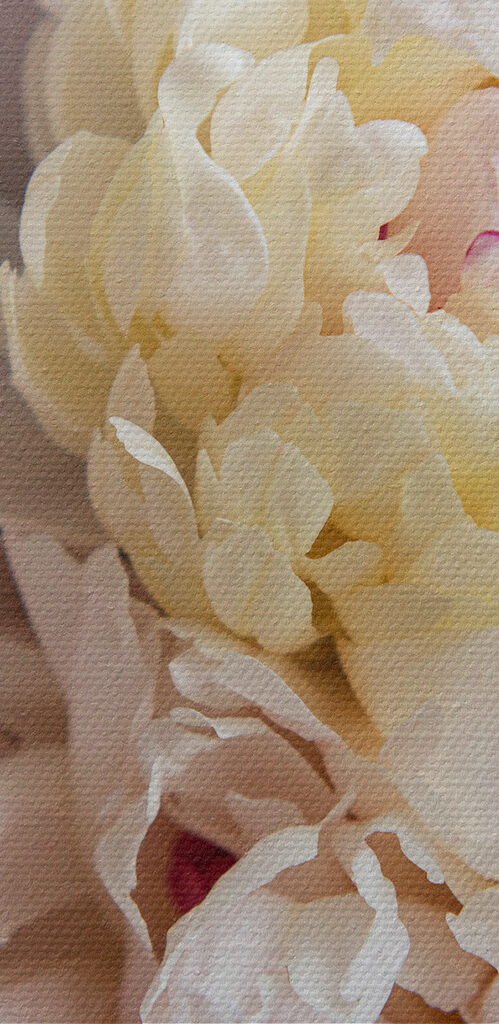 Delicate blooms in soft pastel shades Delicate blooms in soft pastel shades