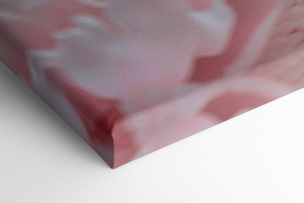 White snake in pink flowers White snake in pink flowers