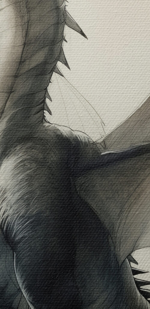 Drawing of a dragon Drawing of a dragon