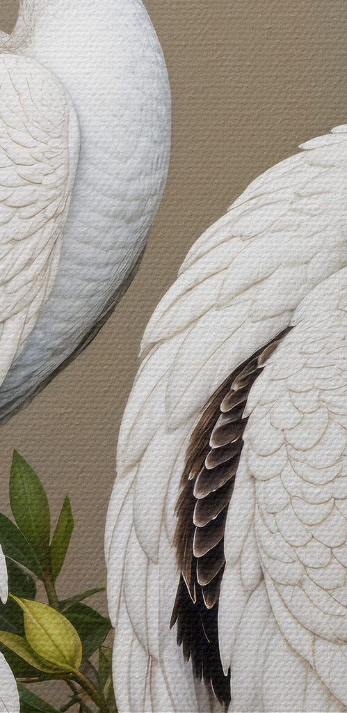 Couple of white peacocks on a branch with flowers