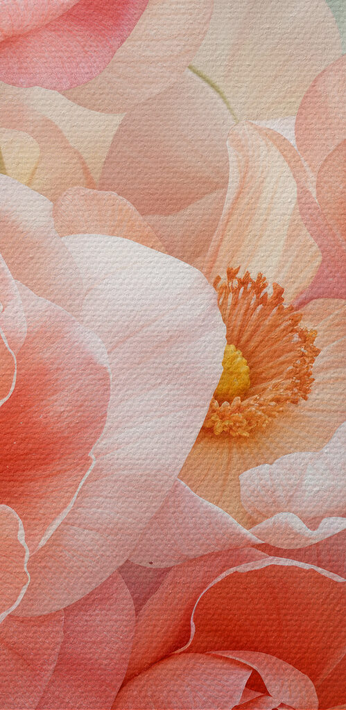Group of pink flowers