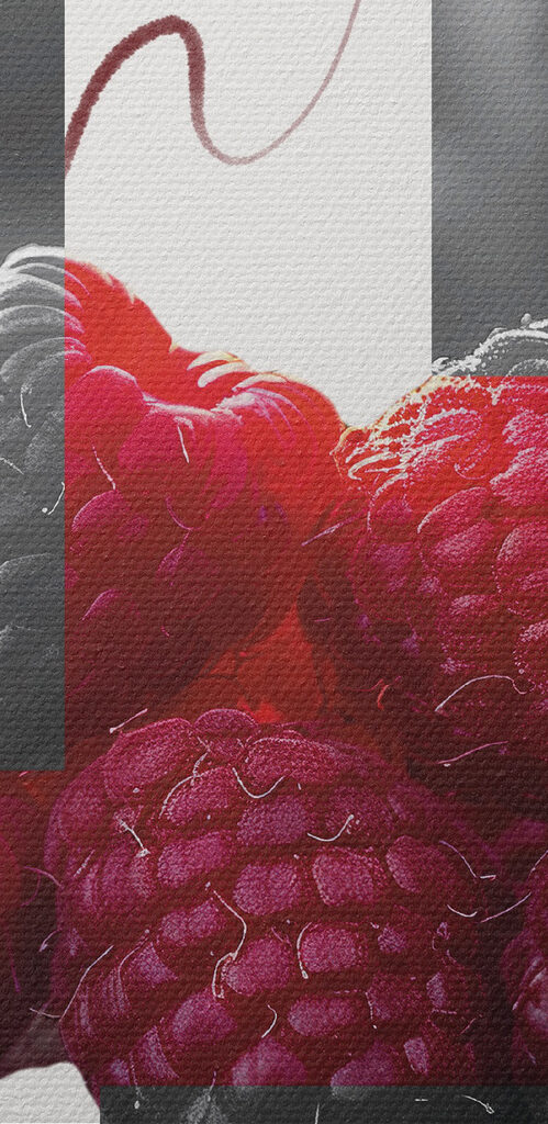 Group of raspberries with leaves Group of raspberries with leaves