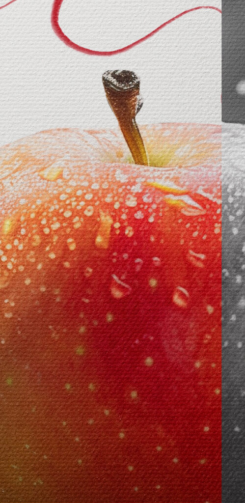 Red and grey apple