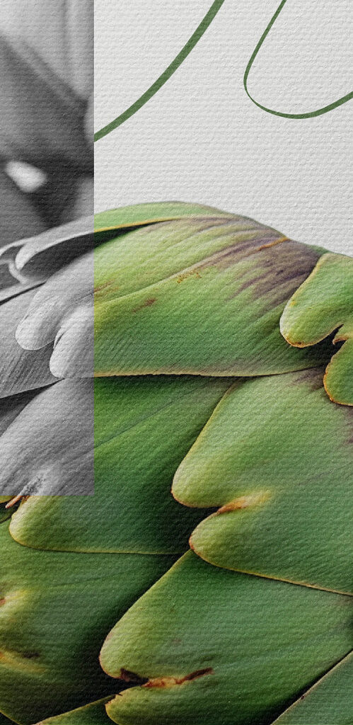 Artichokes on a table with a green background