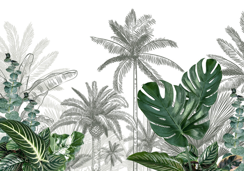 Grupa palm Grupa palm