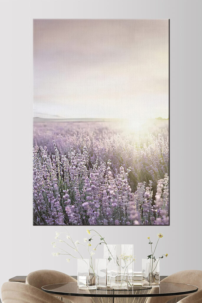 Lavender fields under a soft sunrise