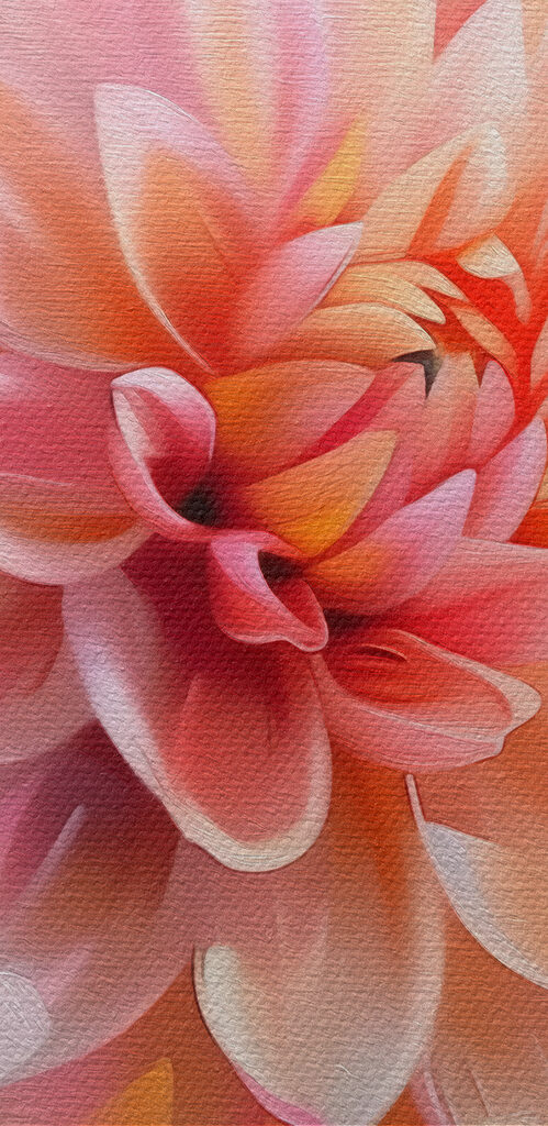 Delicate petals in soft hues
