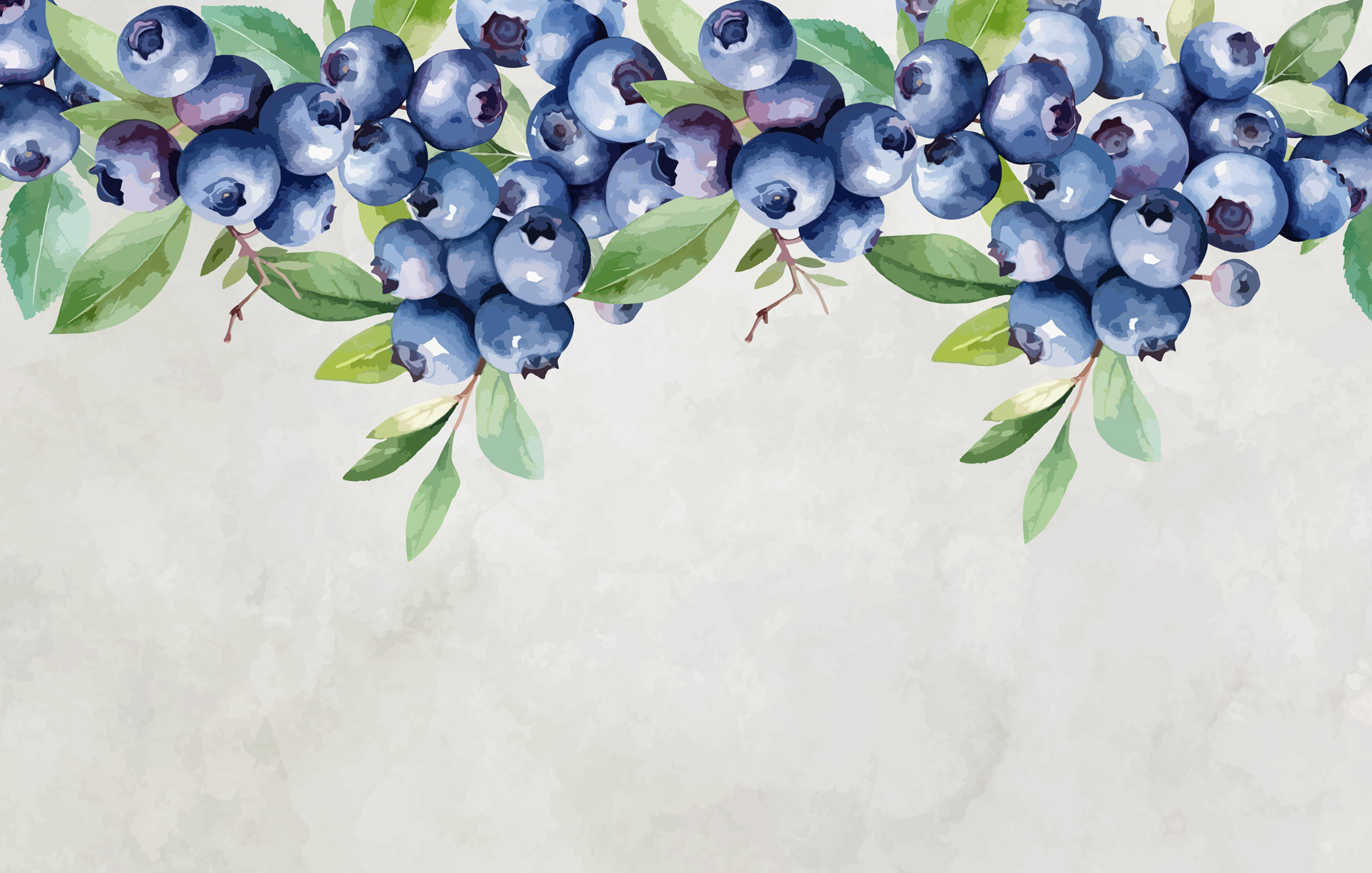 Blueberry with green leaves