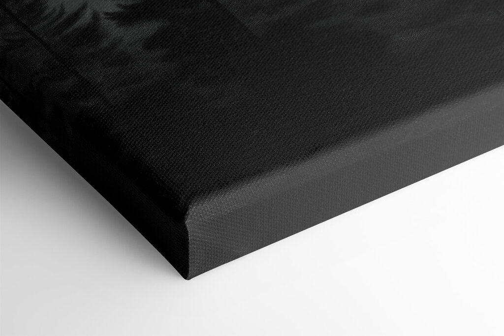 Group of trees in a forest Group of trees in a forest