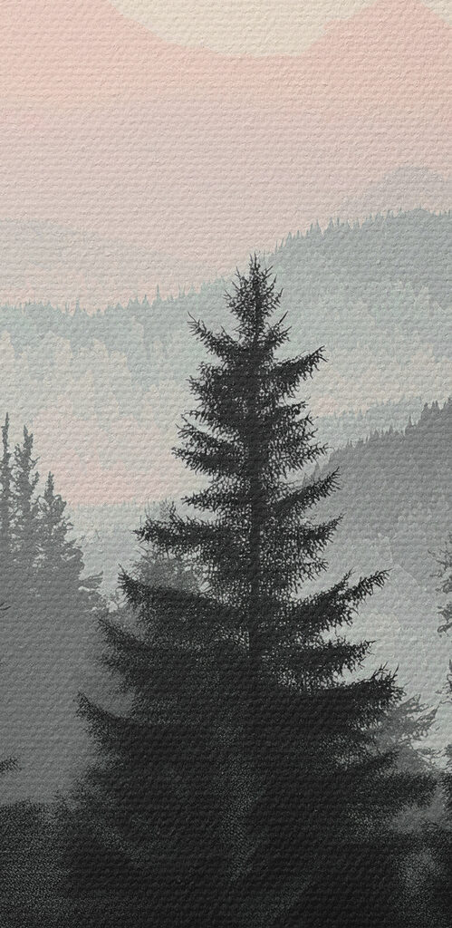 Group of trees in a forest Group of trees in a forest