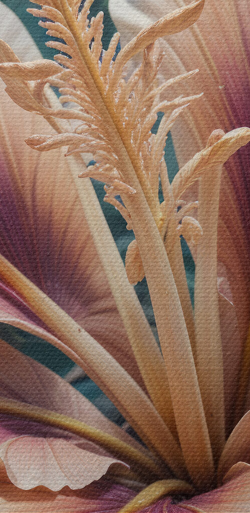 Vibrant foliage in soft colors