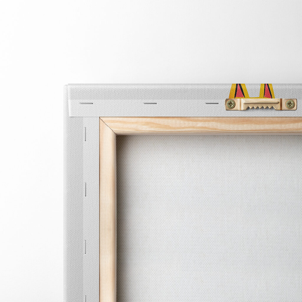 Group of cats with different colors