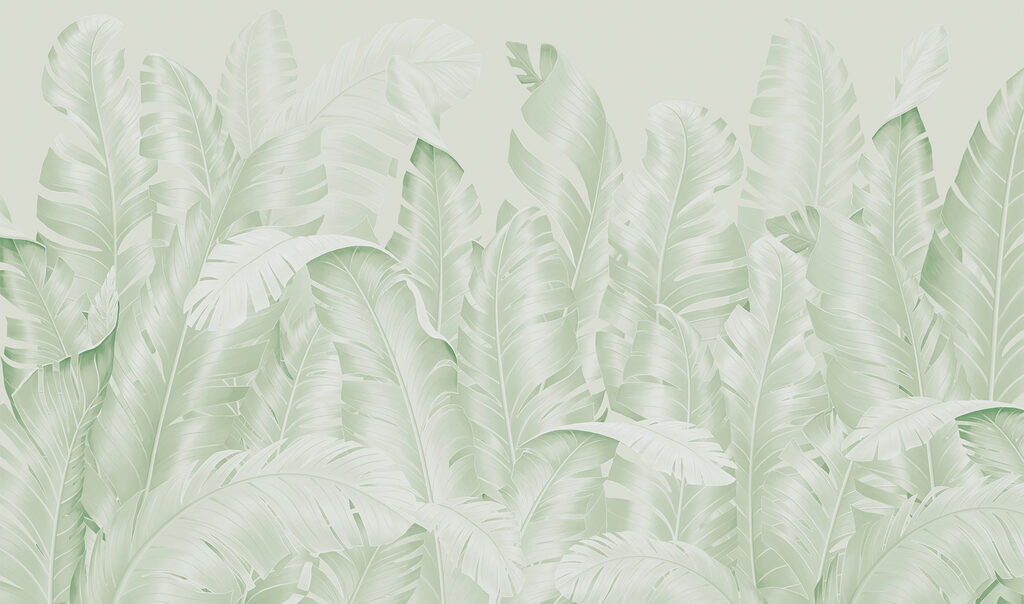 Group of leaves on a white background