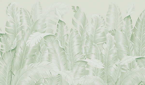 Group of leaves on a white background