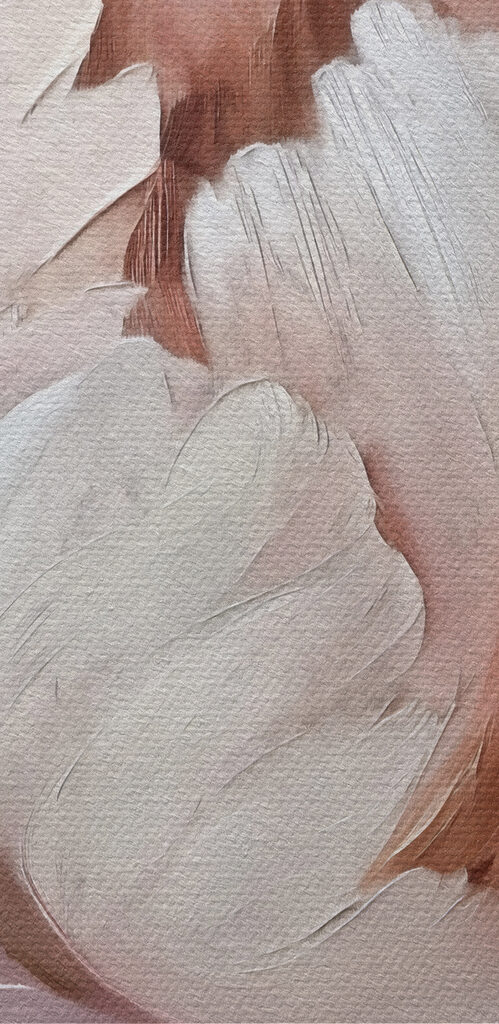 Close up of a flower