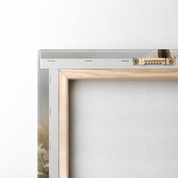 White horse in a field of flowers