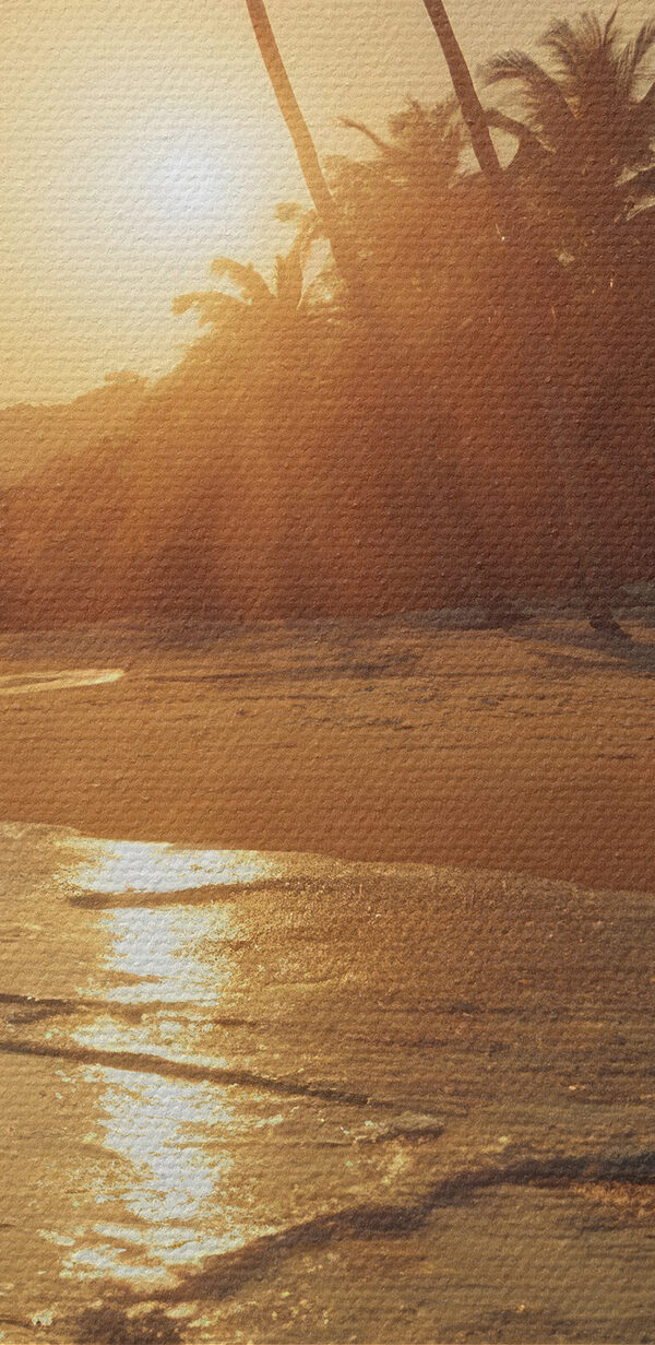 Plaża z palmami i wodą Plaża z palmami i wodą