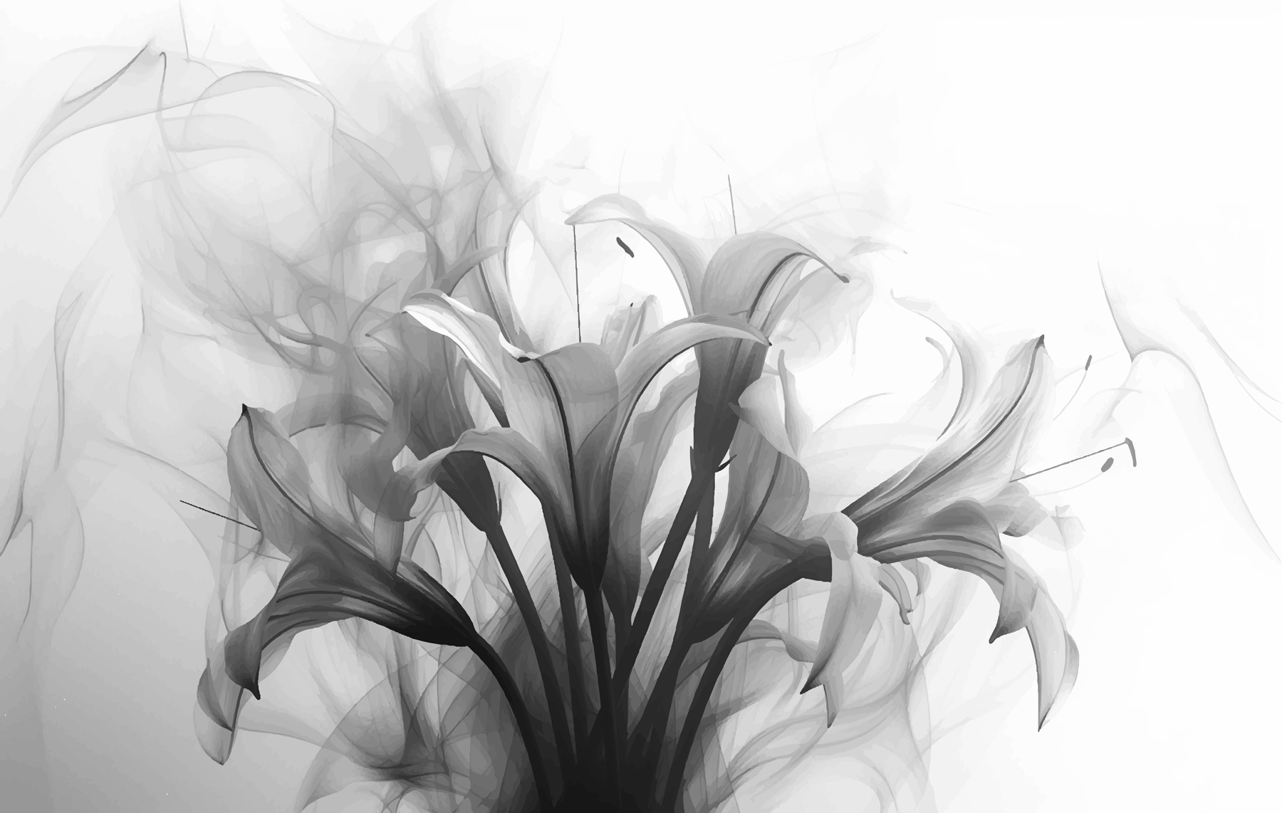 Black and white image of flowers
