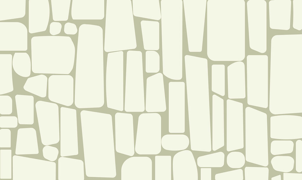 White rectangles on a light background