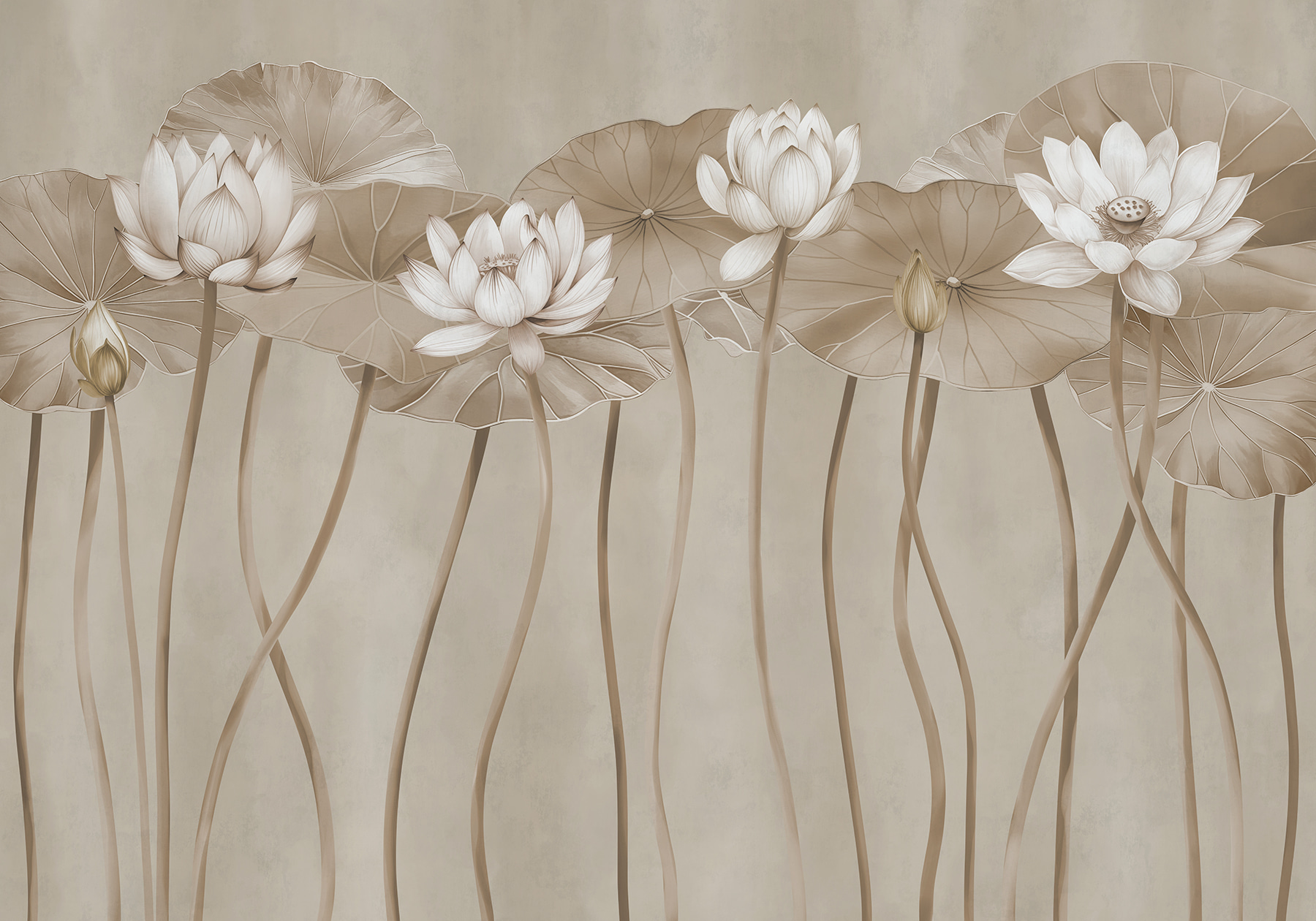 Close up of a flower