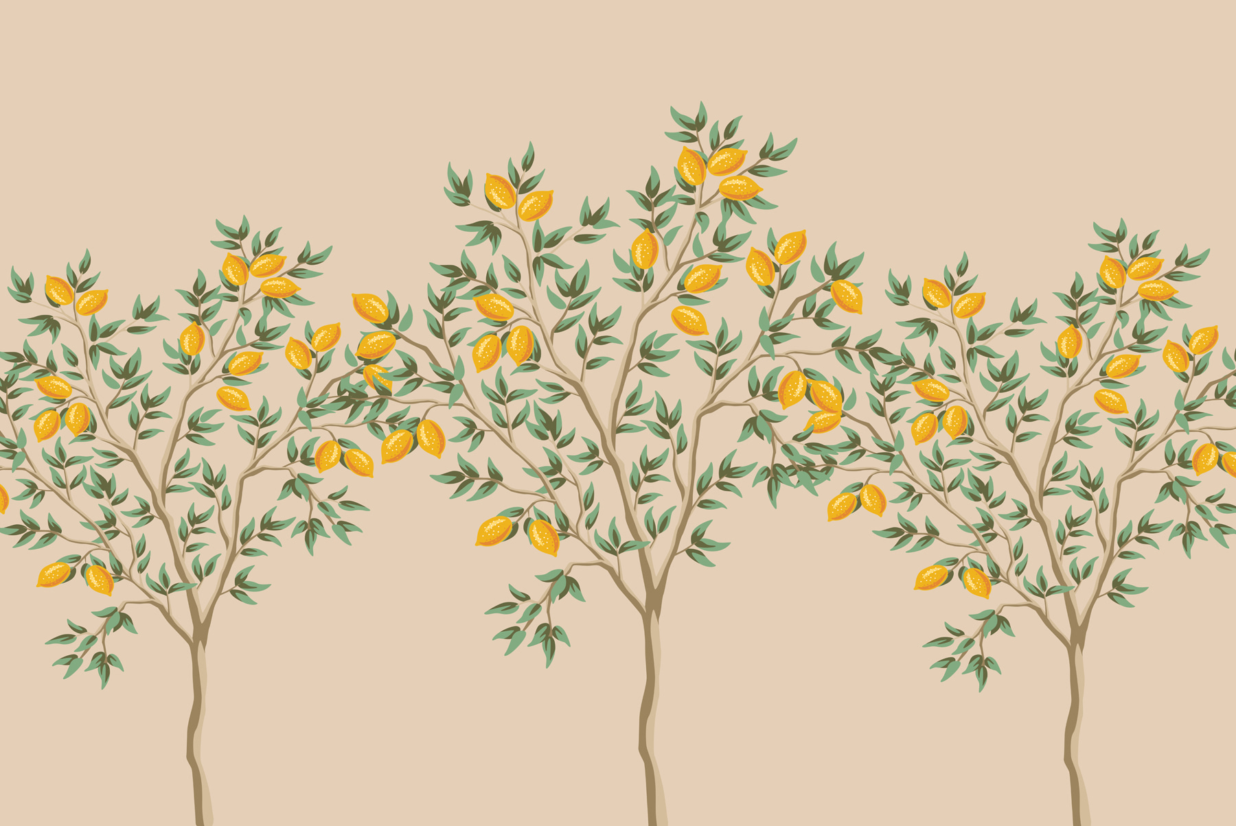 Tree with fruits on it