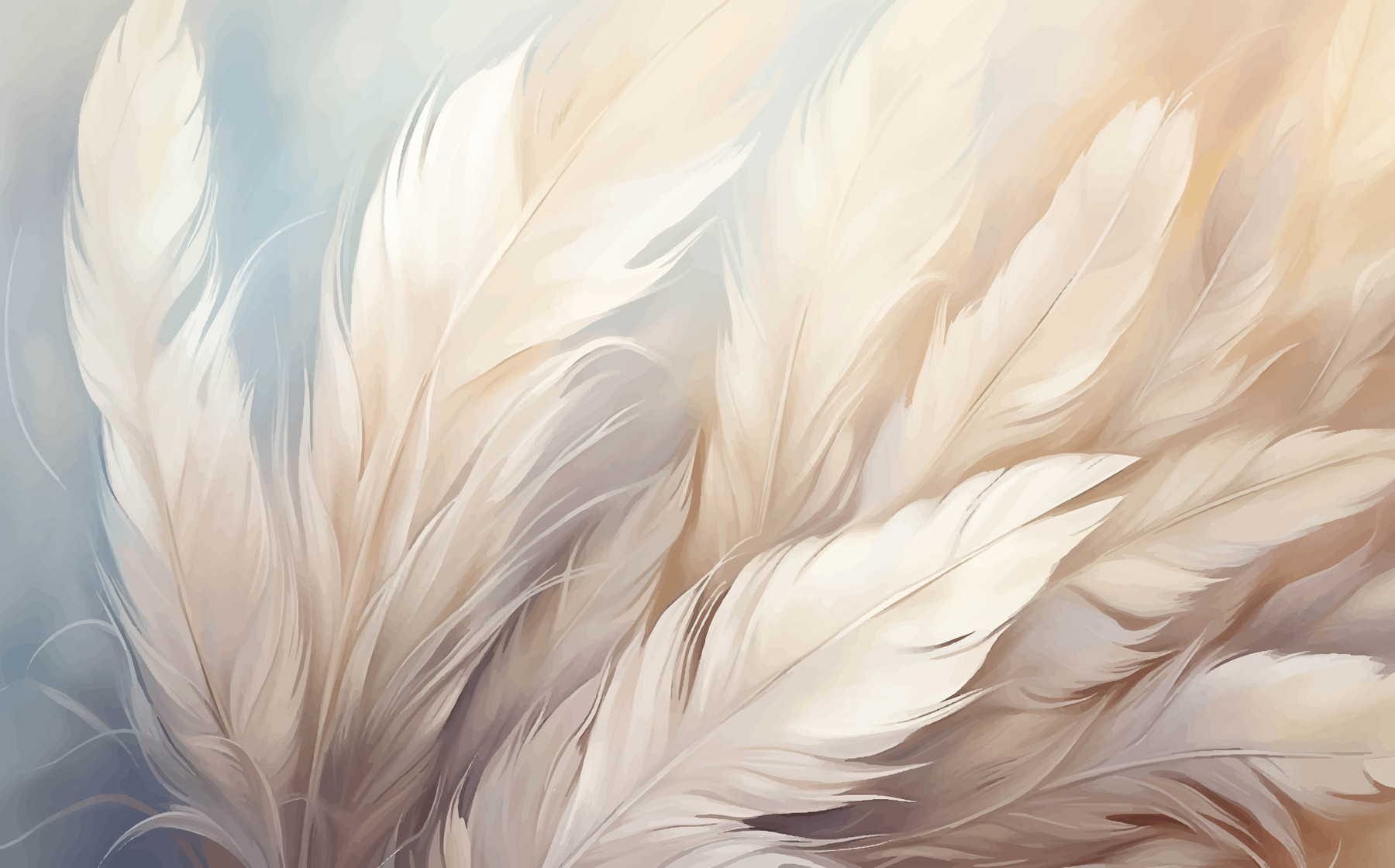 Close up of feathers