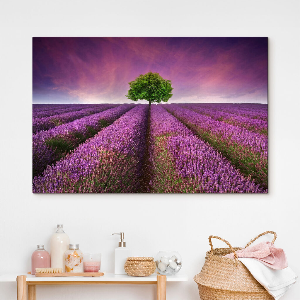Tree in a field of lavender Tree in a field of lavender