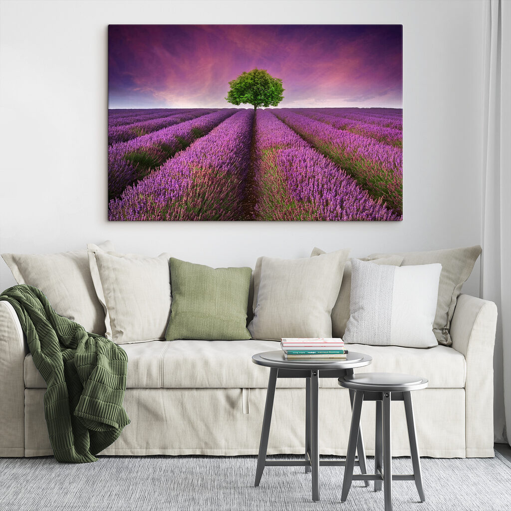 Tree in a field of lavender Tree in a field of lavender