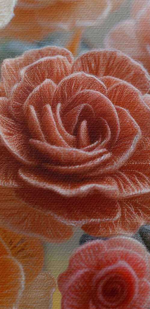 Beautiful roses in soft colors