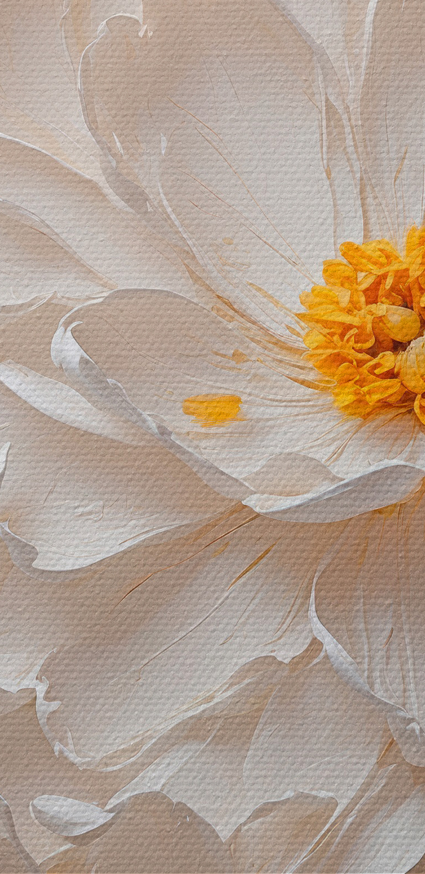White flower with yellow center White flower with yellow center