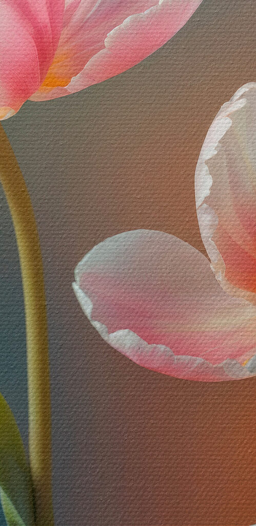 Group of pink and white flowers