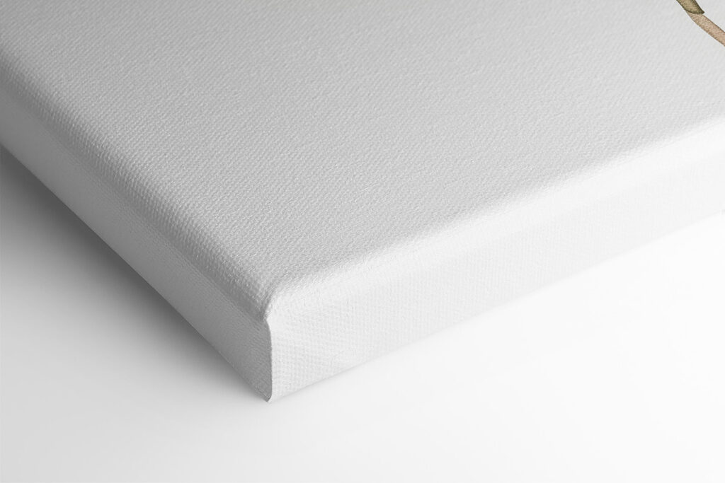 Watercolor of a leaf