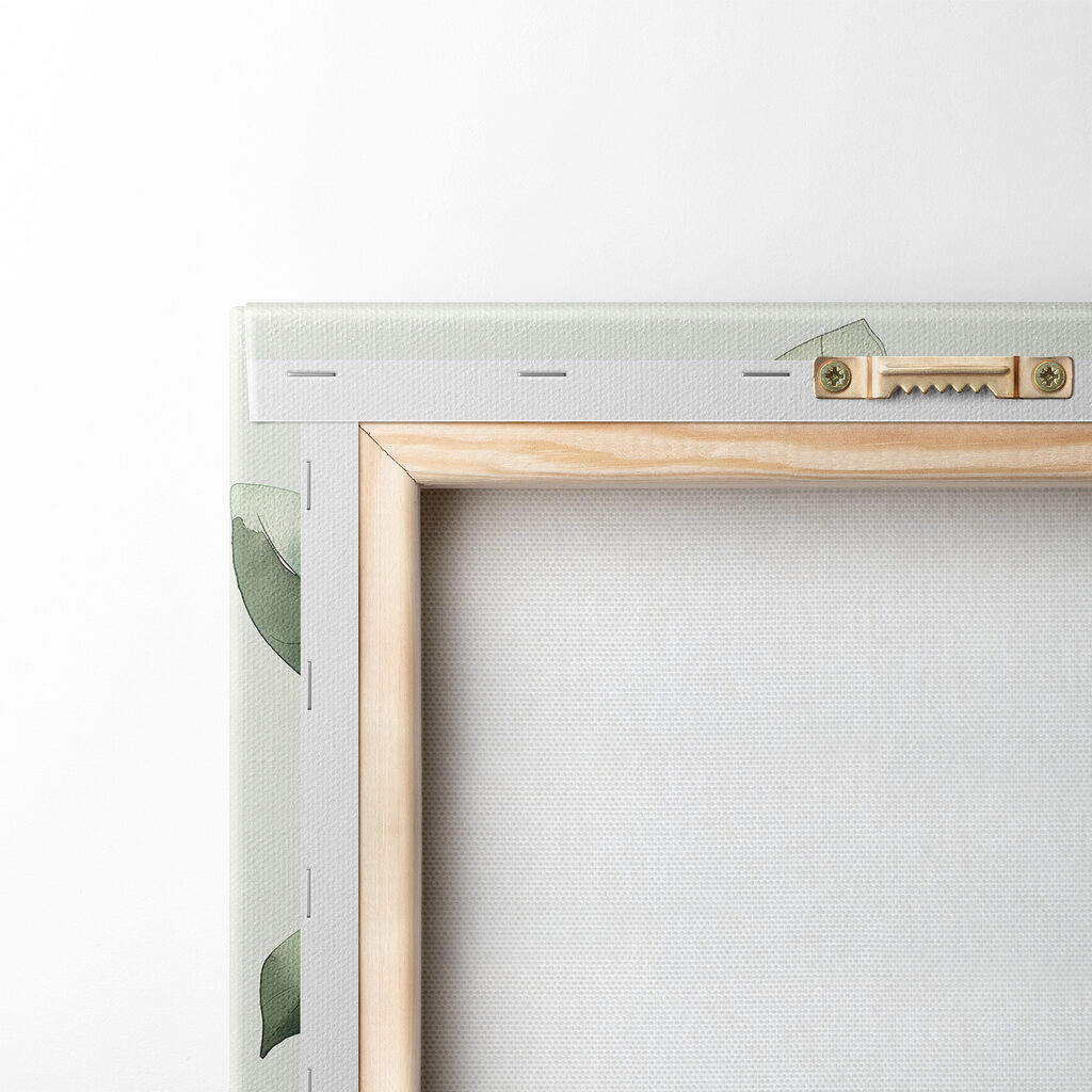 Green leafy plant with a white background