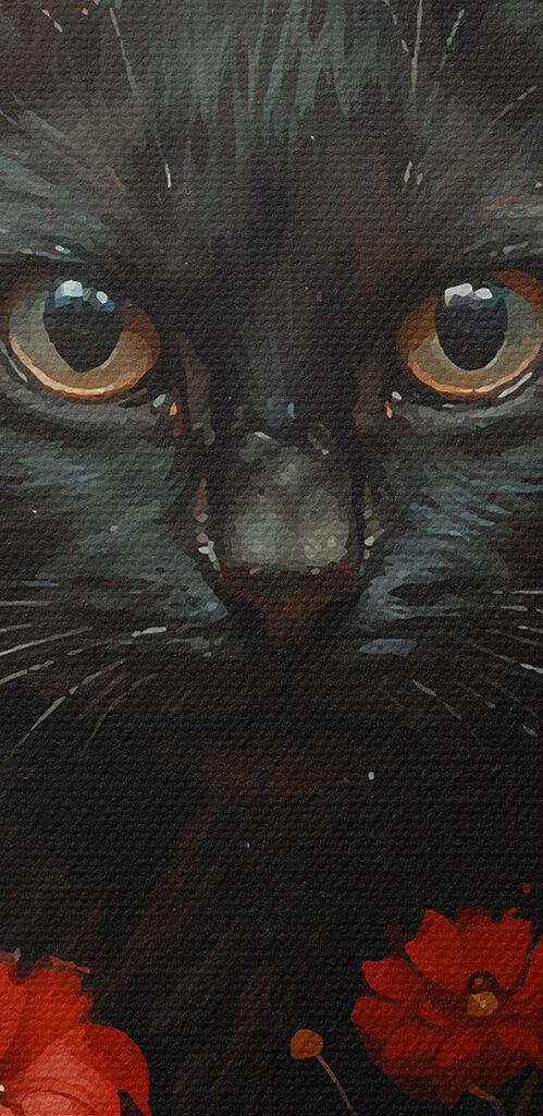 Black cat in a field of red flowers Black cat in a field of red flowers