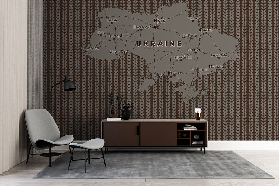 Mapa Ukrainy z liniami i miastami