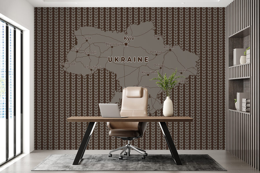 Mapa Ukrainy z liniami i miastami