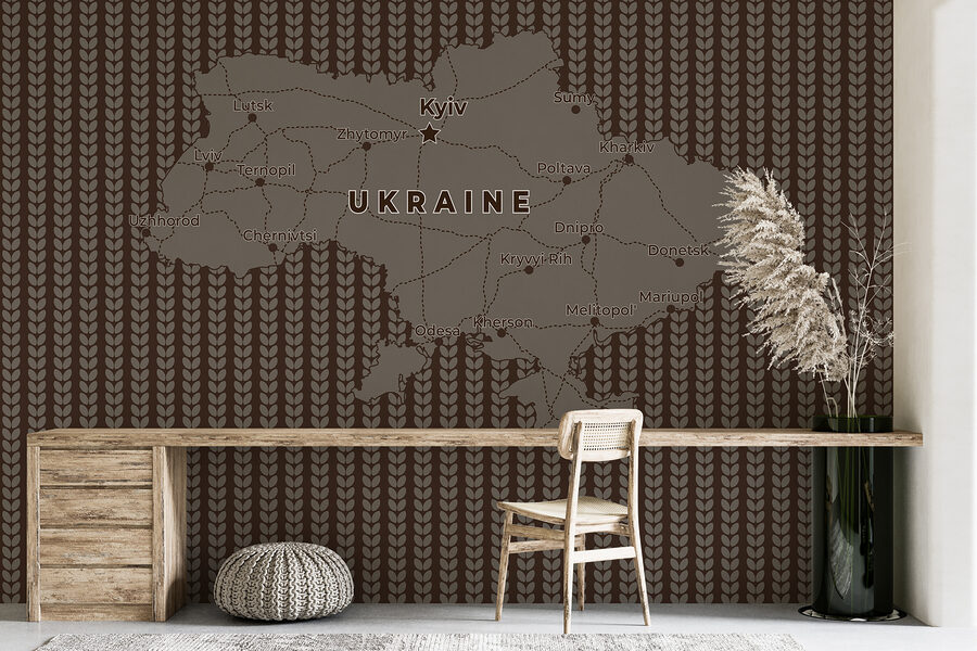 Mapa Ukrainy z liniami i miastami